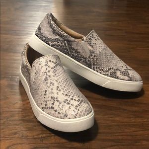Reign snakeskin sneaker made my soda!